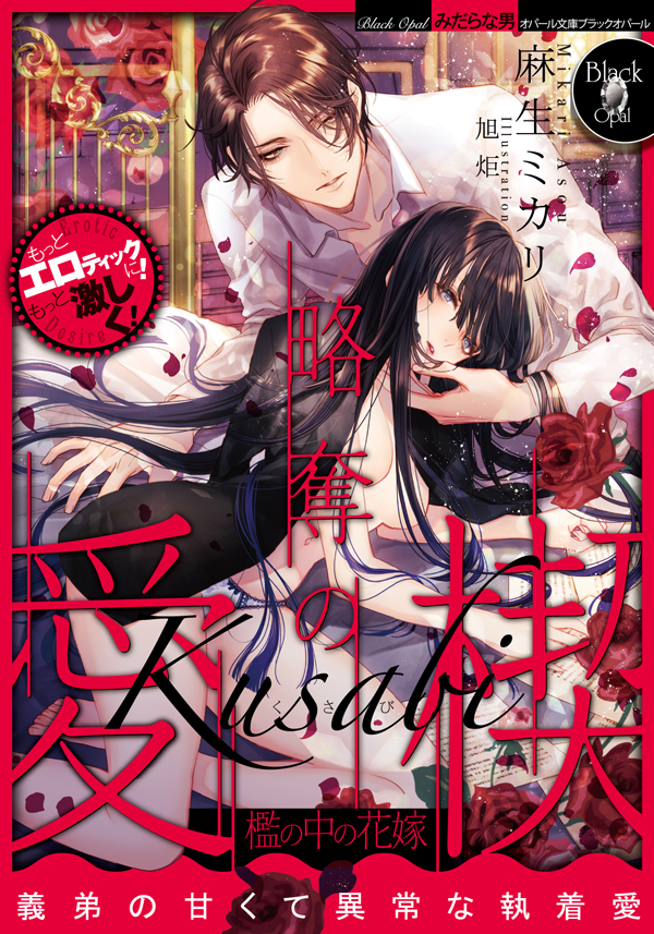 TL小説 文庫本 まとめ売り 80円商品　オパール文庫　ブラックオパール文庫 TL小説 文庫本 まとめ売り 80円商品 オパール文庫 ブラック